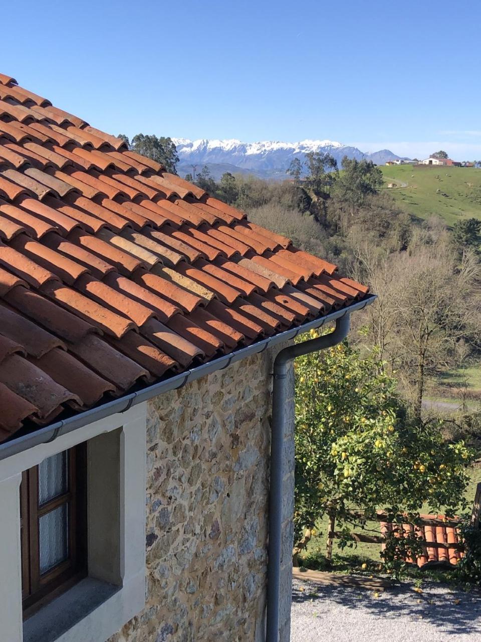 San Pedro  Casa Rural Trebol4Hojas מראה חיצוני תמונה