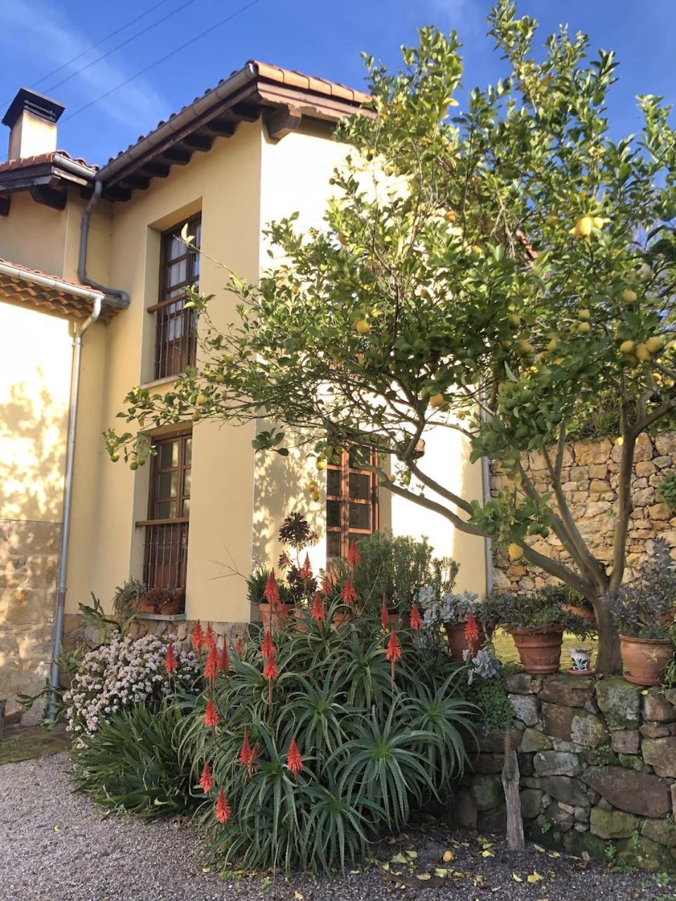 San Pedro  Casa Rural Trebol4Hojas מראה חיצוני תמונה