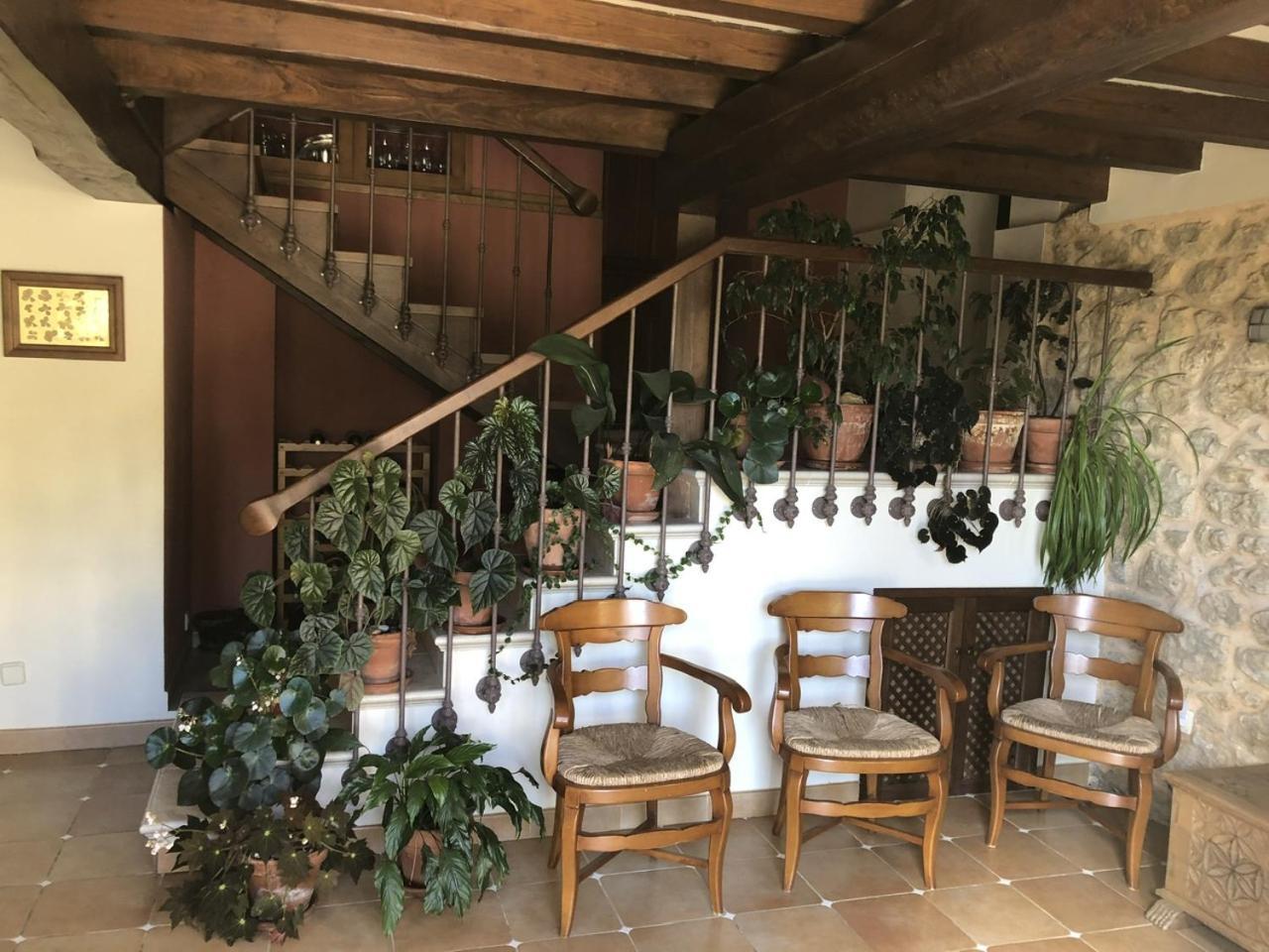 San Pedro  Casa Rural Trebol4Hojas מראה חיצוני תמונה