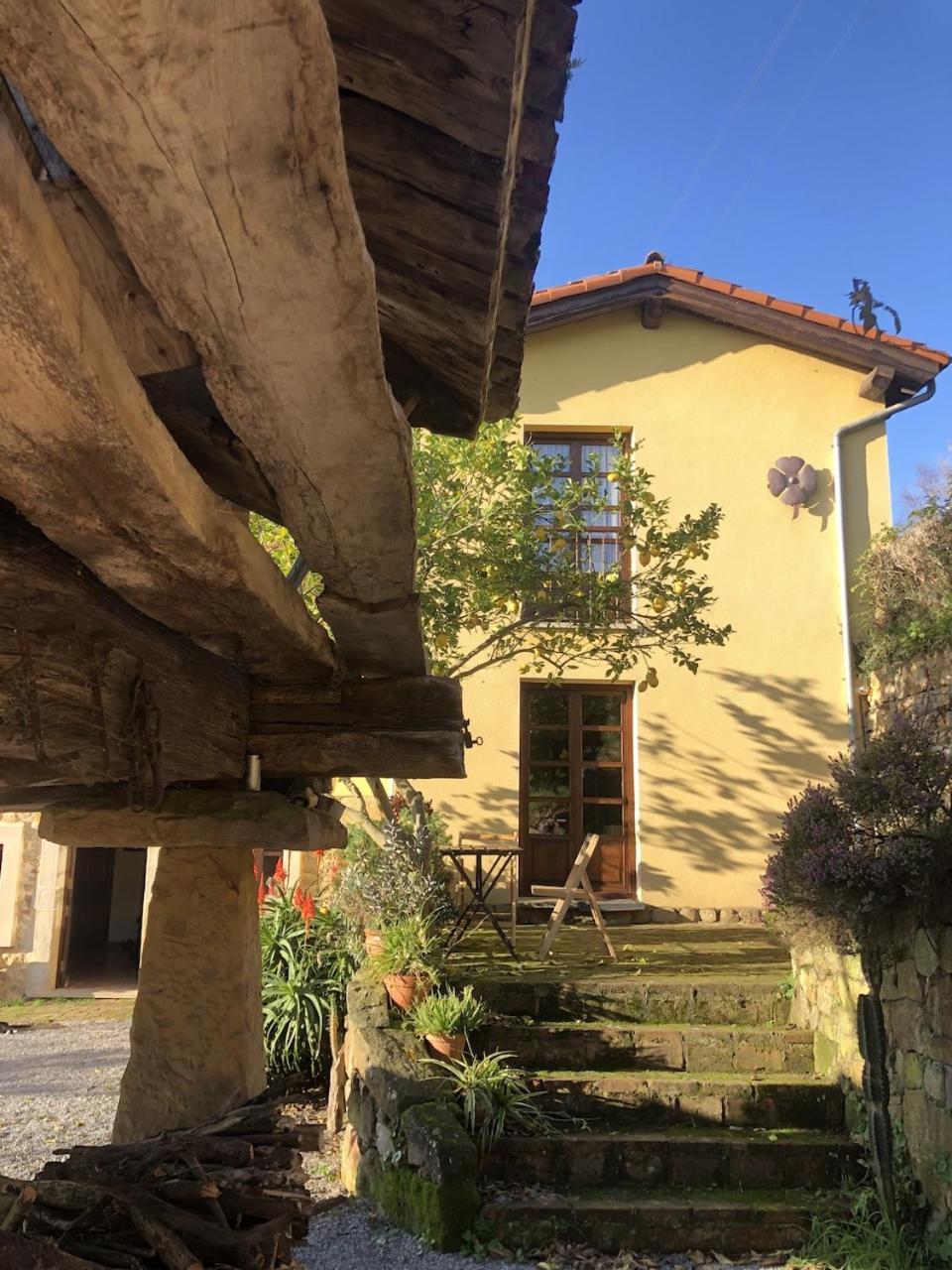 San Pedro  Casa Rural Trebol4Hojas מראה חיצוני תמונה